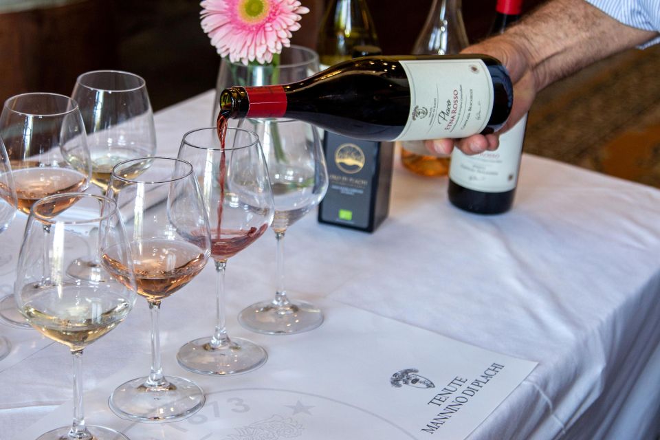 Wine and Local Delicacies Tasting at a Sicilian Palmento - Tips for Your Visit
