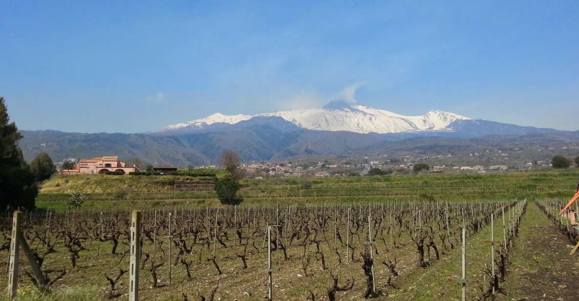 Wine and Lunch Tour - Key Points