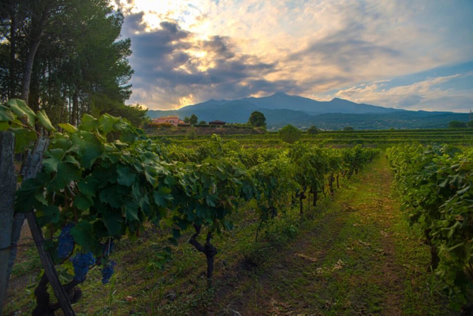 Wine and Lunch Tour - Planned Activities
