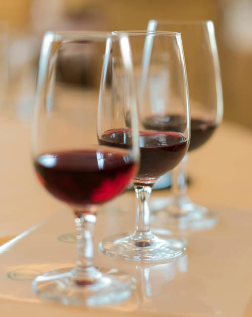 Wine and Oil Tasting in Madrid: Spains Best Wines and Tapas - Exploring the Wines of Spain