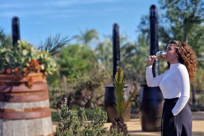 Wine and Tapas Tasting Tour from Alicante, Private Van - Key Points