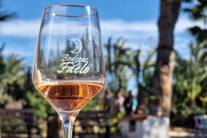 Wine and Tapas Tasting Tour from Alicante, Private Van - Who Will Love This Tour?