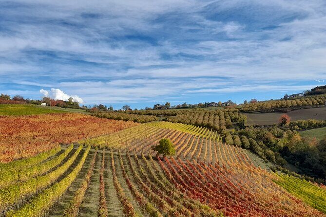 Wine and Typical Product Tasting Tour - Introduction