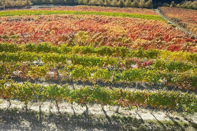 Wine and Typical Product Tasting Tour - Key Points