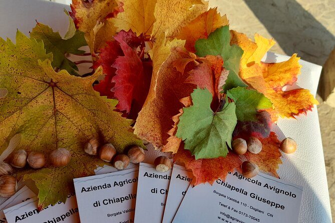 Wine and Typical Product Tasting Tour - Practical Details: What Travelers Should Know