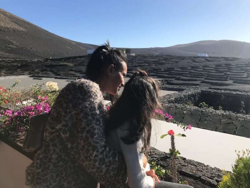 Wine and Volcan Private Tour - Tour Details