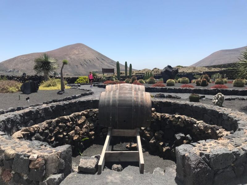Wine and Volcan Private Tour - Transportation and Inclusions