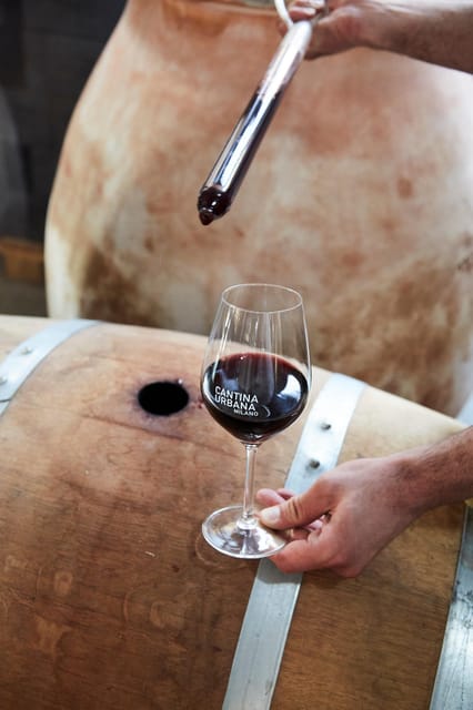 Wine Blind Tasting in Cantina Urbana Milan - Sensory Exploration of Sight, Smell, and Taste