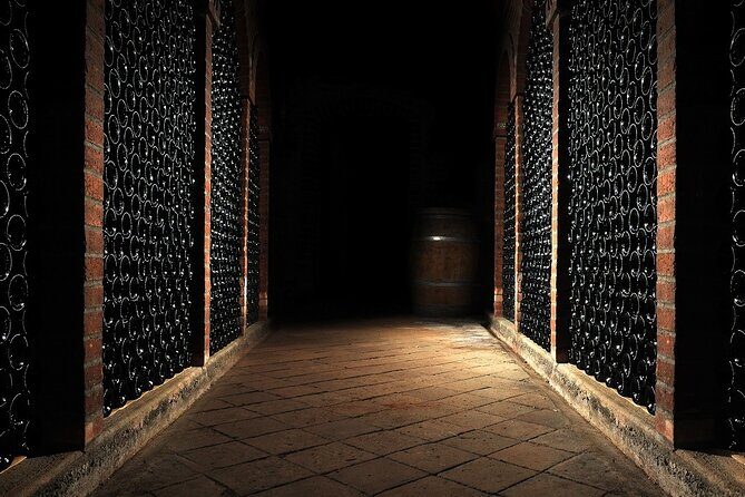 Wine cellar tour with tasting 3 wines of the Loire - An Authentic Taste of Loire Wines in a Compact Tour