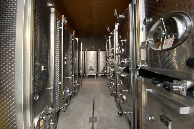 Wine cellar visit & tasting of organic Alsace wines - Key Points