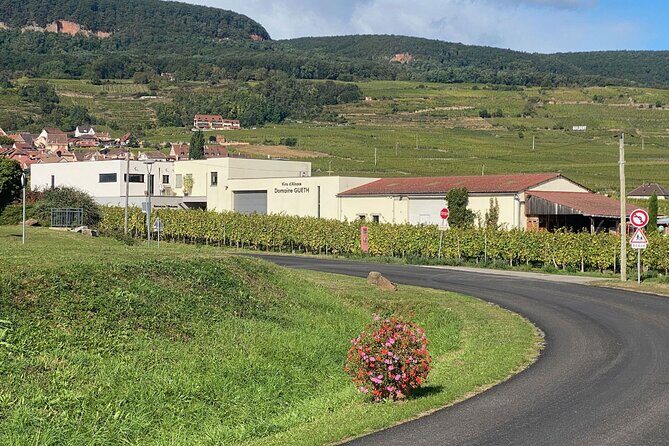 Wine cellar visit & tasting of organic Alsace wines - FAQ