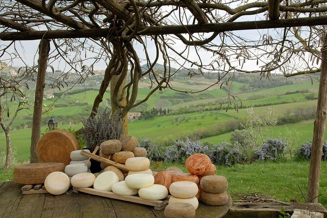 Wine Cheese and EVO Oil Tastings in Tuscany Full-Day from Rome - Introduction