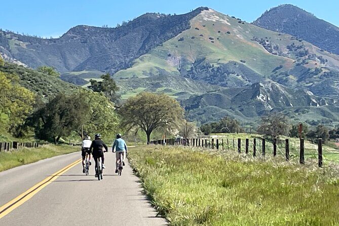 Wine Country Farm to Table Bike Tour w/Lunch - An In-Depth Look at the Tour Experience