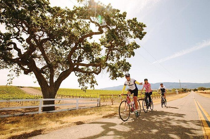 Wine Country Farm to Table Bike Tour w/Lunch - Frequently Asked Questions