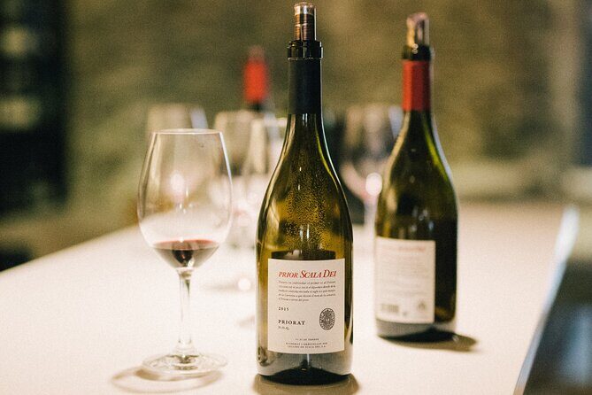 Wine course in Saint-Emilion followed by a tasting - An In-Depth Look at the Experience