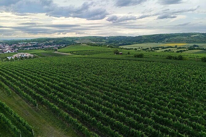 Wine Culture and UNESCO Gems Lednice Valtice Area and Mikulov - Final Thoughts