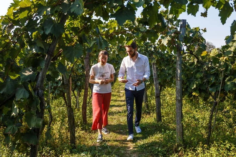 Wine & Dine group tour from Kutaisi - Pricing and Value