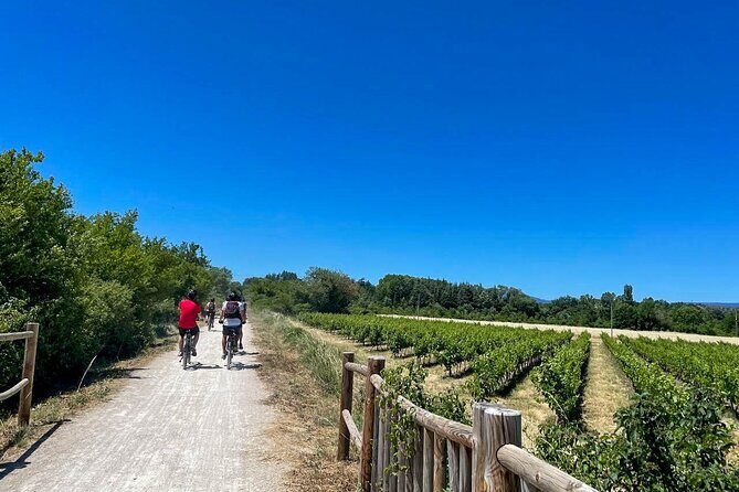 Wine excursion by electric bike guided by GPS Vallon Pont d'Arc - Why This Tour Offers Great Value  