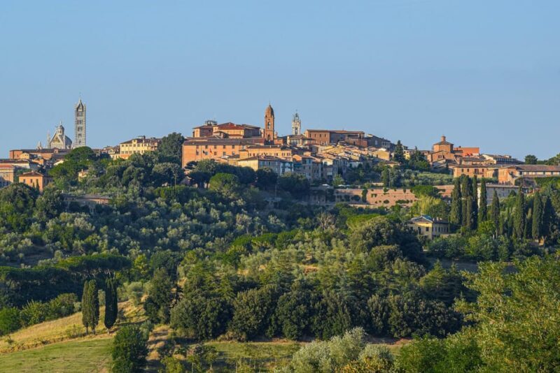 Wine Experience Colli Bolognesi - Afternoon tour - The Sum Up