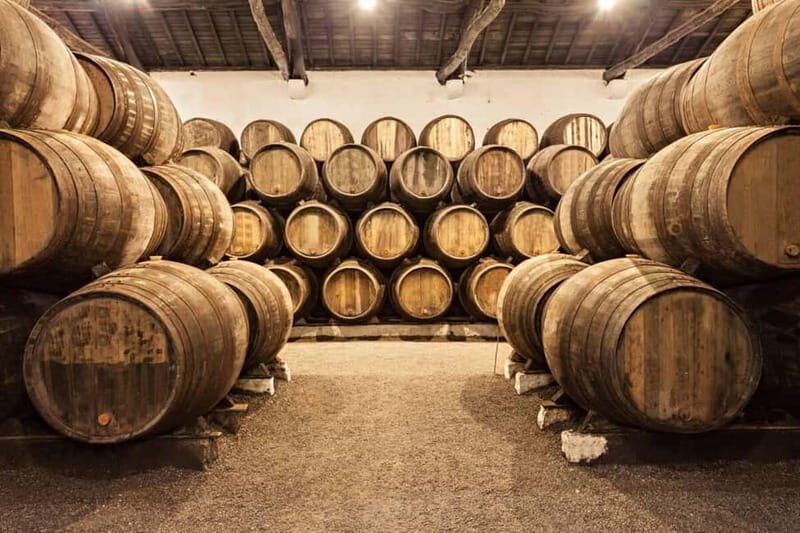 WINE EXPERIENCE & DOZZA - Private Day Tour from Bologna - Final Thoughts