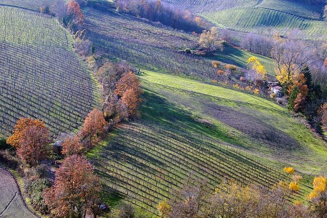 Wine Experience in the Parma Hills - Tasting of Red and White Wines