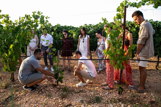 Wine Experience: Vineyard, Wines and Food - Cancellation and Booking Policies