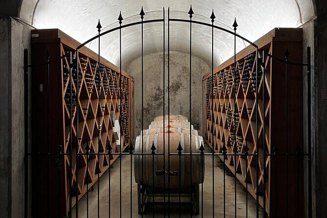 Wine Exposed Nelson Winery Tour - An In-Depth Look at the Nelson Wine Tour Experience