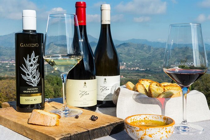 Wine & Food Tasting on Etnas Winery Private Tour - Comprehensive User Reviews and Ratings