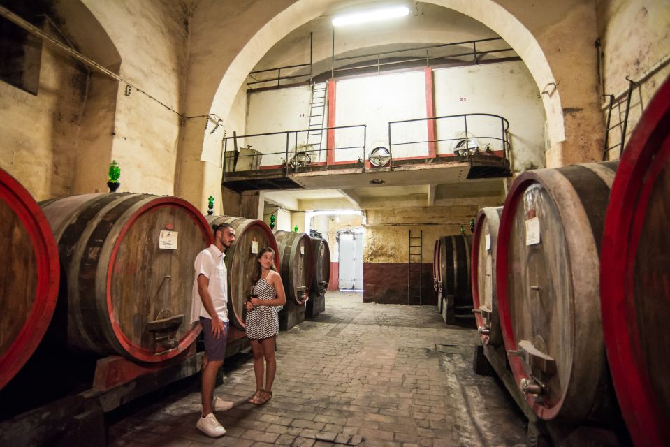 Wine Hiking: Sip and Trek - Key Points