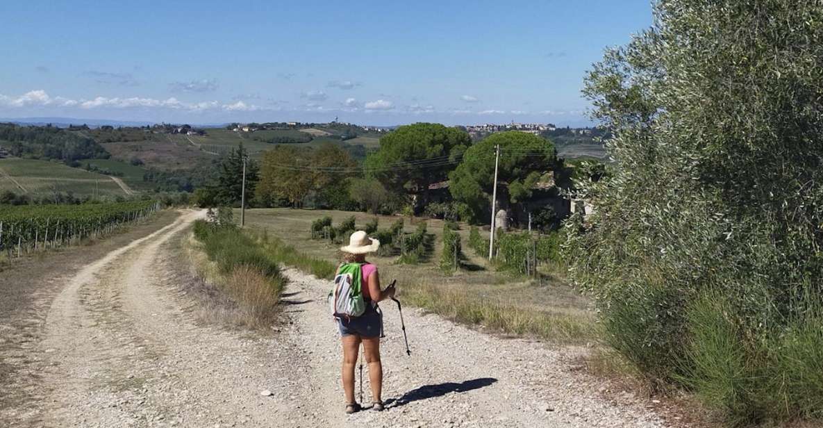 Wine Hiking: Sip and Trek - Activity Details