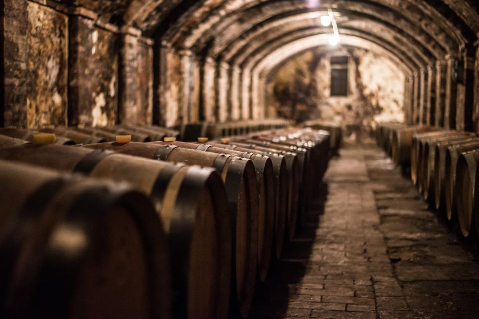 Wine Hiking: Sip and Trek - Highlights