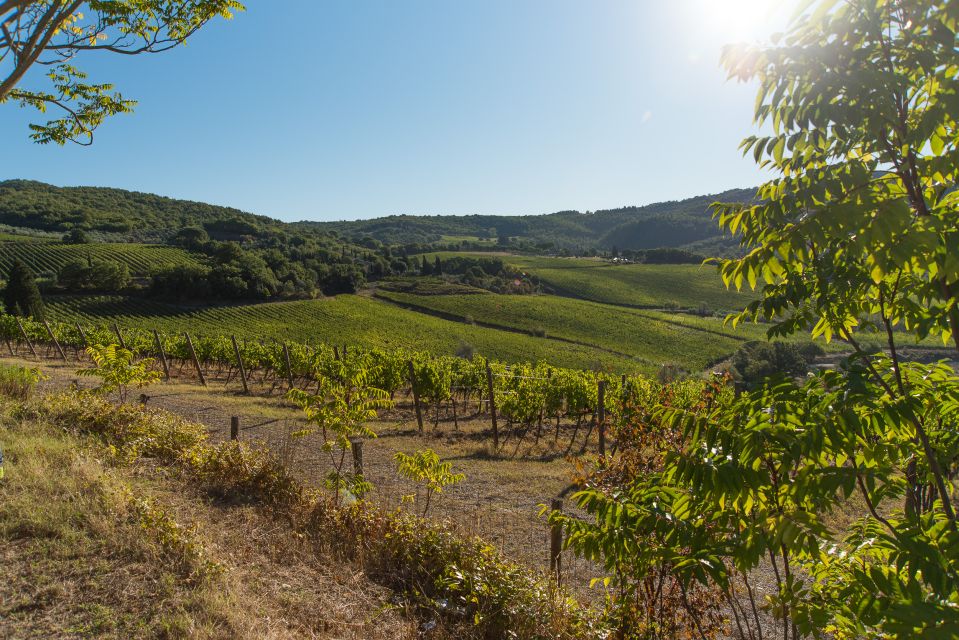 Wine Hiking: Sip and Trek - Getting There