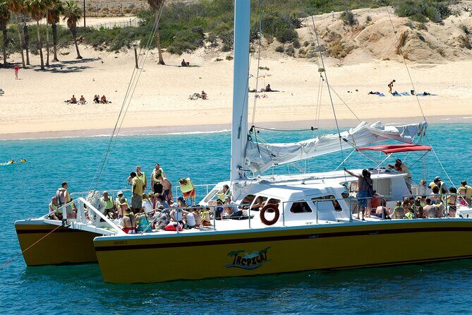 Wine & Jazz at Sunset Cruise! Round Transportation From Los Cabos - An In-Depth Look at the Wine & Jazz Sunset Cruise