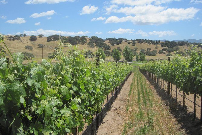 Wine Lovers Tour from Santa Barbara Area - An In-Depth Look at the Santa Ynez Valley Wine Tour