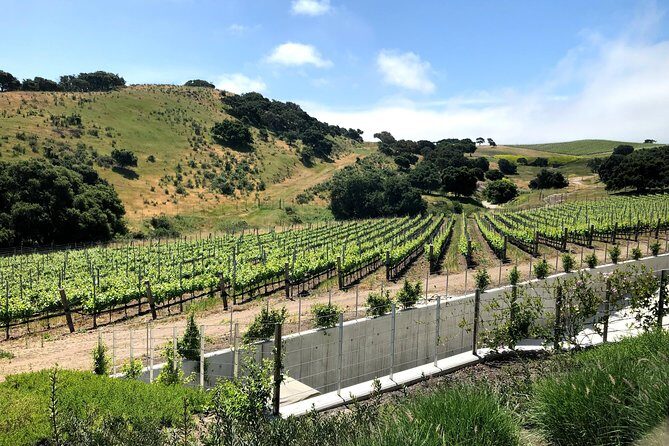 Wine Lovers Tour from Santa Barbara Area - The Guided Experience: Expertise Matters