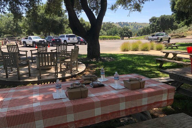 Wine Lovers Tour from Santa Barbara Area - Tasting Rooms and Personal Atmosphere