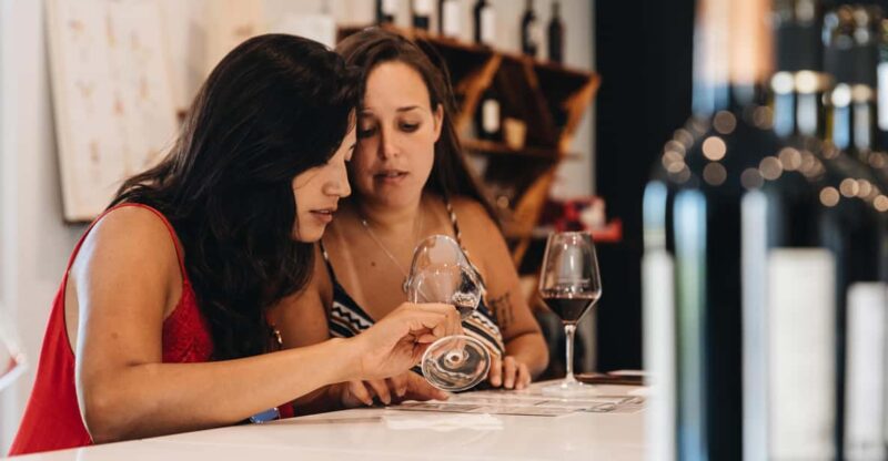 Wine Masterclass & Cheese Tasting Workshop in Bordeaux - The Art of Wine Tasting and Serving