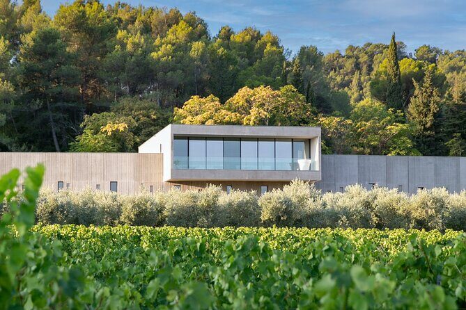 Wine, Olive Oil and Scenic Villages of Provence - Who Will Love This Tour?