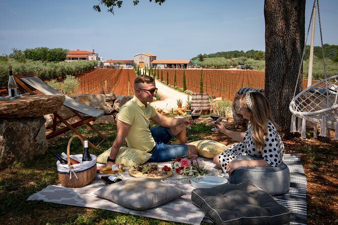 Wine picnic - A Relaxing Wine Picnic in Istria: An Authentic Taste of Croatia’s Countryside