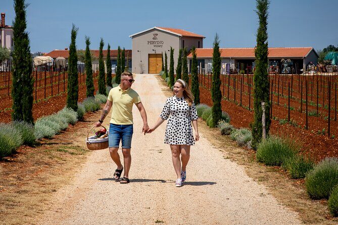 Wine picnic - Key Points