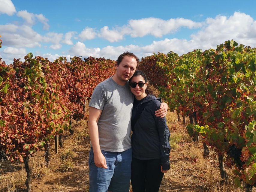 Wine , Roman Temple and Bone Chapel in Half-Day Private Tour - Activities Included
