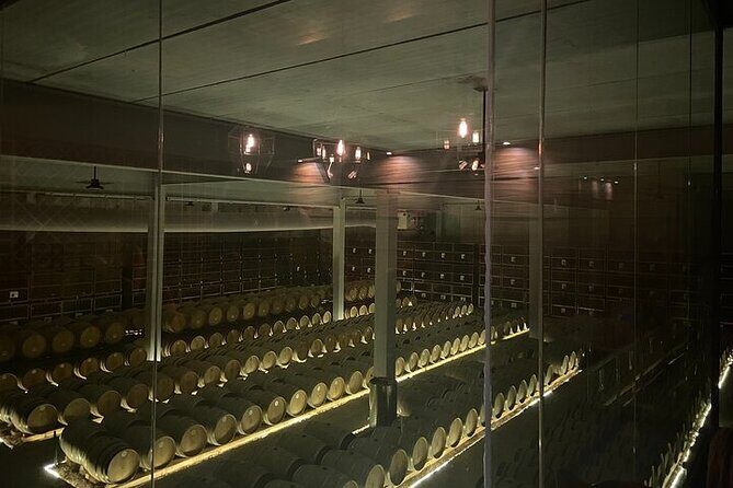 Wine Route !, Vineyards, wine tasting and pairing - The Wine Tasting & Food Pairing Experience