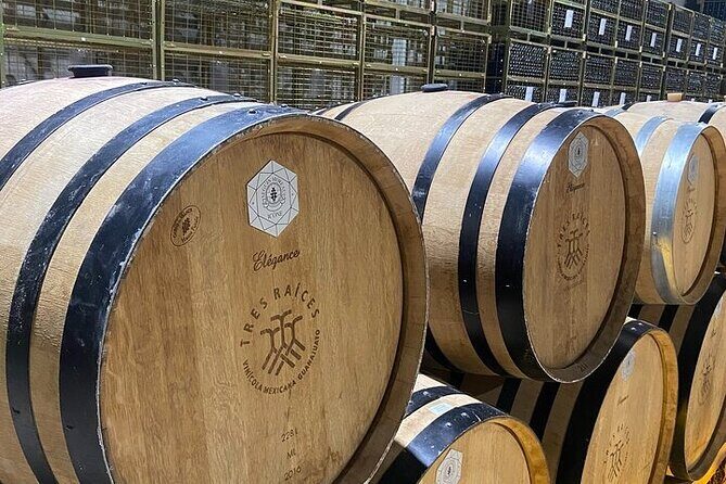 Wine Route !, Vineyards, wine tasting and pairing - FAQs