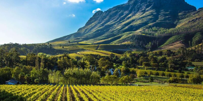 Wine Route Wanderer - Full Day Private Tour - Inclusions and Important Information