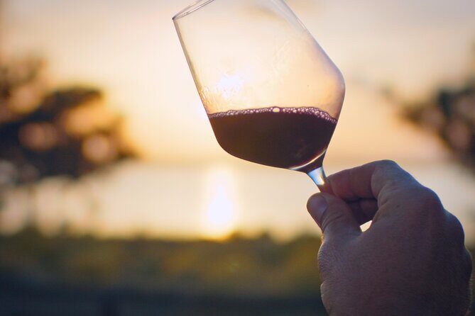 Wine route with tasting and pairing in the La Mata Natural Park - Practical Details and Experience Value