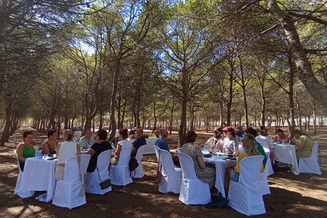Wine route with tasting and pairing in the La Mata Natural Park - The Sum Up