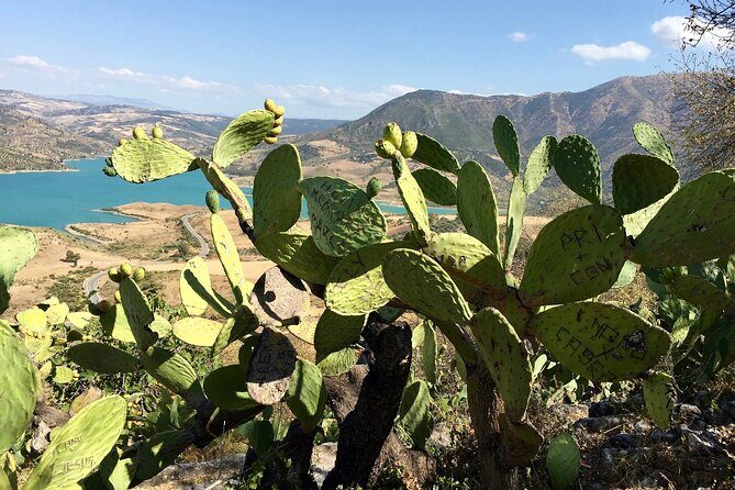 Wine, Tapas & Lake Zahara by e-bike incl Ronda pickup (full day) - Who Should Consider This Tour?