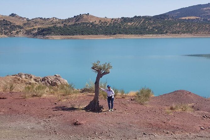 Wine, Tapas & Lake Zahara by e-bike incl Ronda pickup (full day) - The Sum Up