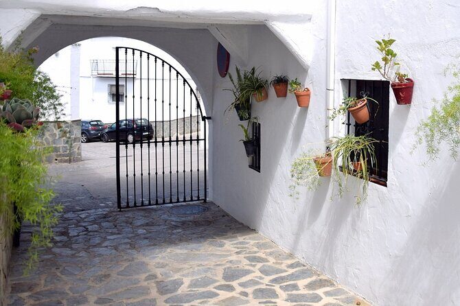 Wine & Tapas tour by electric bike (e-bike) including Ronda pickup (half day) - A Closer Look at the Experience