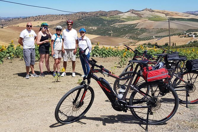Wine & Tapas tour by electric bike (e-bike) including Ronda pickup (half day) - What the Reviews Say